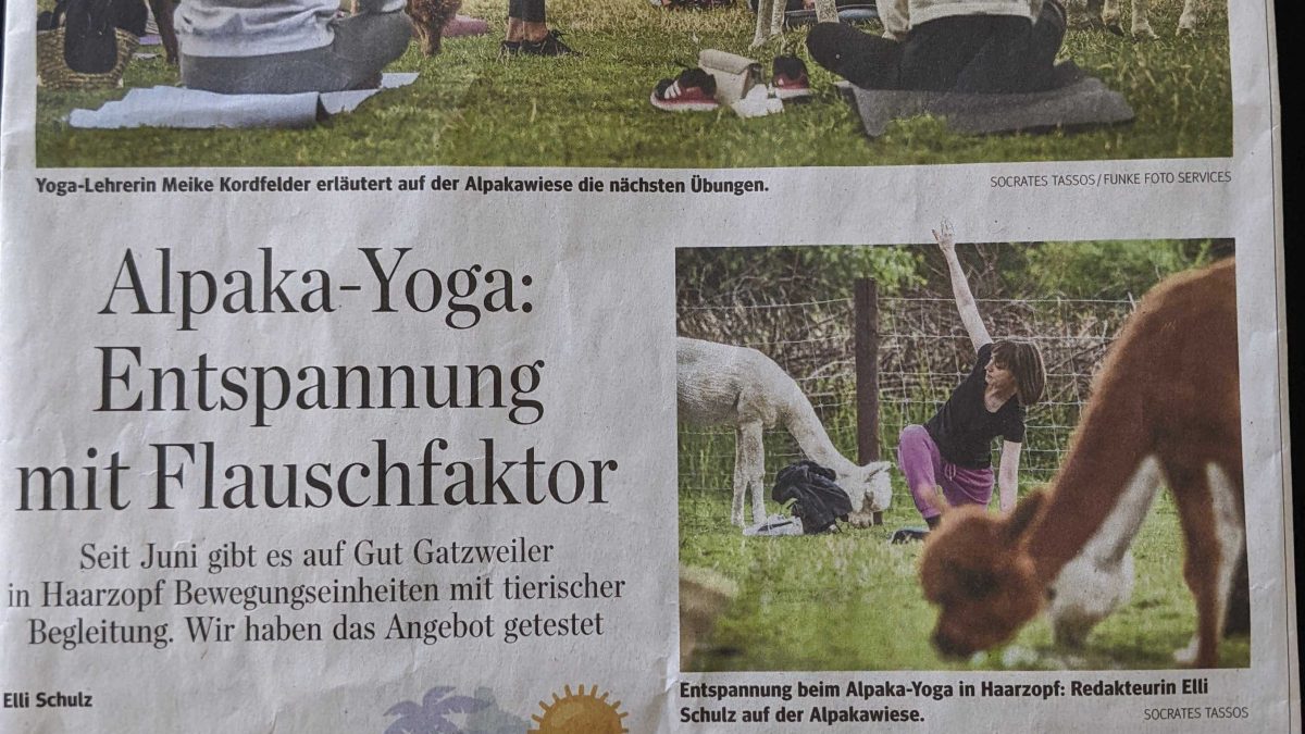 Zeitungsartikel WAZ Alpaka Yoga